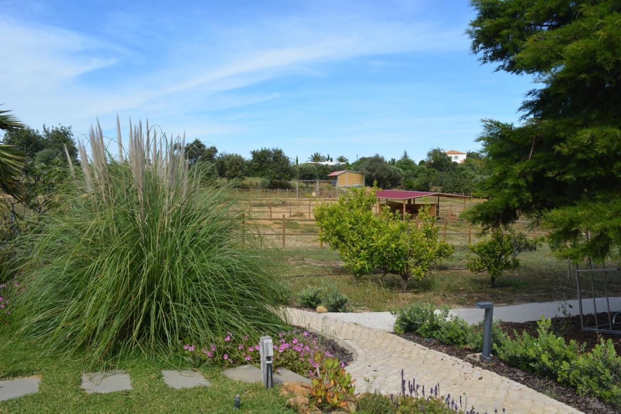 مبيت وإفطار مونكاراباشو Quinta Luz Do Sol المظهر الخارجي الصورة